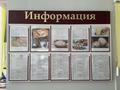 Внедрение итогов пилотного проекта